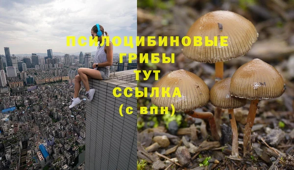 ALPHA PVP Дмитриев