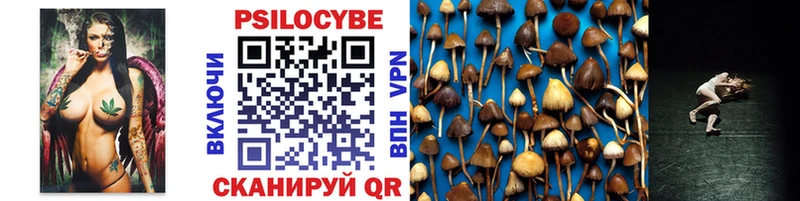 Галлюциногенные грибы MAGIC MUSHROOMS  Галич 